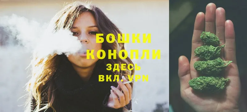 где найти наркотики  Медынь  Канабис Ganja 